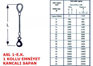 Tek Kollu Gözlü Emniyet Kancalı Çelik Sapan